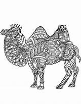 Bactrian Camel Zentangle coloring Page  ColouringPages sketch template