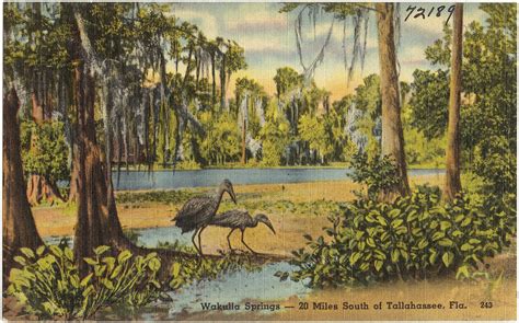 Wakulla Springs- 20 miles south of Tallahassee, Florida | Flickr