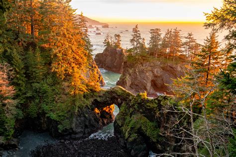 12 EPIC CAMPGROUNDS at the OREGON COAST (Local's Guide)