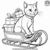 Cat Pulling Sleigh Of Gifts Coloring Pages sketch template