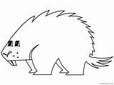 Porcupine Coloring Pages Animal Printable Sheets porcupine 2021 4025  sketch template