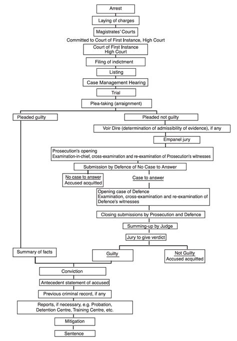 Civil Court Process Flow Chart