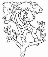 Free Printable Coloring Page Apple Picking  ClipArt Best sketch template