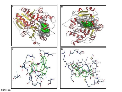 Agrobacterium mediated transient gene silencing (AMTS) in Stevia rebaudiana: insights into ...