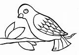 Bird coloring page  Free Printable Coloring Pages sketch template