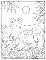 Free JUNGLE Coloring Pages For Download Printable PDF sketch template