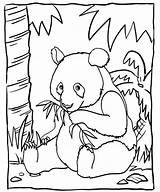 Panda Coloring Pages sketch template