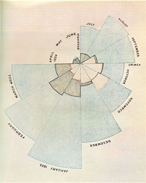 Polar Area Diagrams | Printable Diagram | Enfermagem, Arquitetura