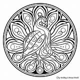 Peacock Mandala Coloring Pages  Free & Printable sketch template