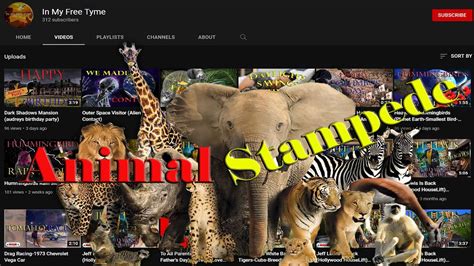 Animal Stampede - YouTube