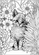 Cute Cat Hiding Behind Flowers  Coloring Pages For Adults Page sketch template