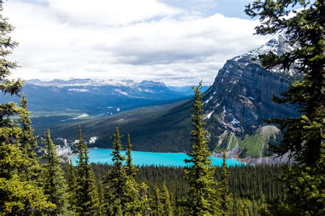 15 STUNNING Lake Louise Hikes (from Easy to Hard)