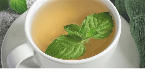 Una taza relajante de té de manzanilla y lavanda: El remedio perfecto ...