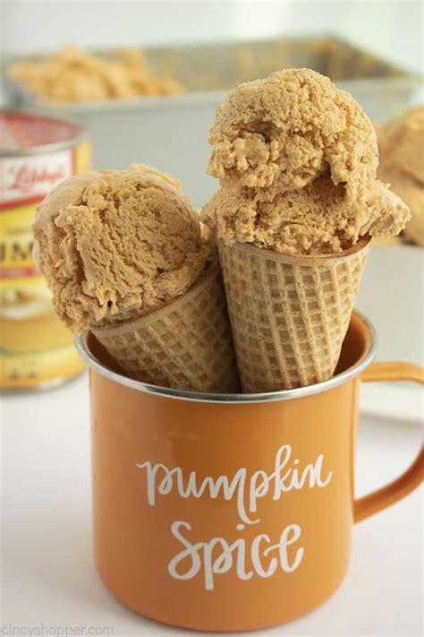 Pumpkin Ice Cream - CincyShopper