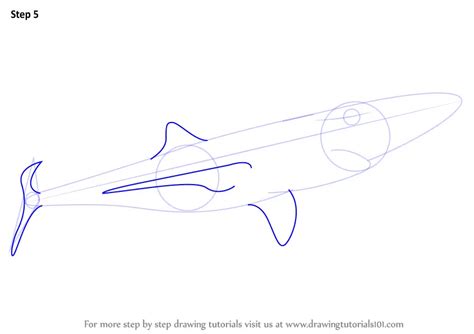 How to Draw a Blue Shark (Fishes) Step by Step | DrawingTutorials101.com