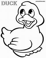 Rubber Duck Sheet Coloring Pages sketch template