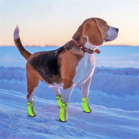 Pet Dog Rain Boots Feet Protective Cotton Booties Puppy Winter Shoes Waterproof | eBay