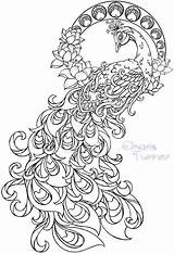 Peacock feathers coloring Pages Download And Print For Free sketch template