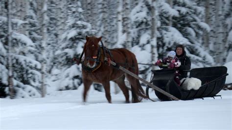 Videot | Kainuun Sanomat