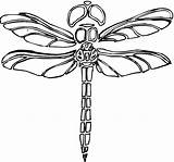 Free Printable Dragonfly Coloring Pages For Kids  Animal Place sketch template
