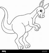 Kangaroos To Color For Kids Coloring Pages sketch template
