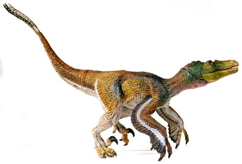 Velociraptor (Feathered Version by Papo) | Dinosaur Toy Blog