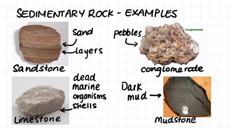 Rock Collection And ID Chart 18 Rocks Igneous, Metamorphic, Sedimentary From DINOSAURS ROCK ...
