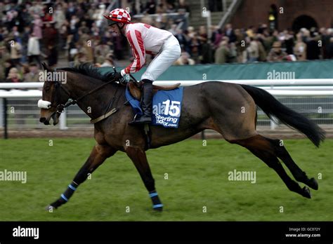 Horse Racing - Cheltenham Races Stock Photo - Alamy