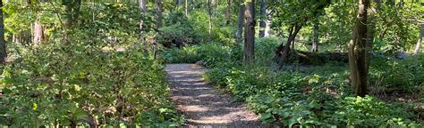 Cylburn Arboretum Trail: 462 Reviews, Map - Maryland | AllTrails