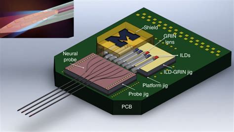 Dual color optogenetic control of neural populations using low-noise, multishank optoelectrodes ...