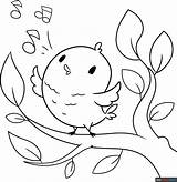 Cute Bird Coloring Pages sketch template