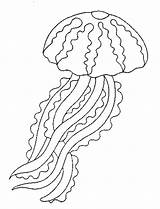 Seaweed Coloring Pages At GetColoringscom  Free Printable Colorings sketch template