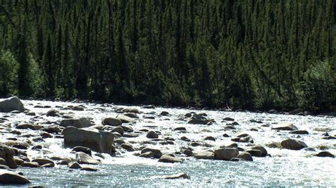 Yukon River - People and economy | Britannica