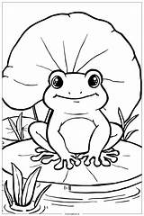 37 Coloriages De grenouille PDF Et PNG Gratuits sketch template