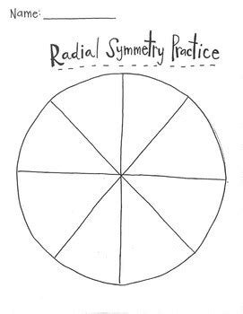 Radial Symmetry Worksheet by Lauren Hitchcock | Teachers Pay Teachers