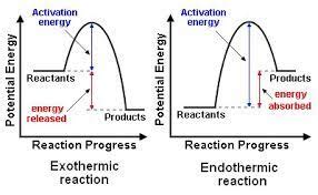 Endothermic And Exothermic Reaction Graph