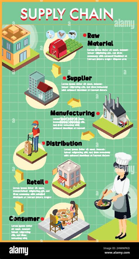 Diagram of supply chain management illustration Stock Vector Image & Art - Alamy