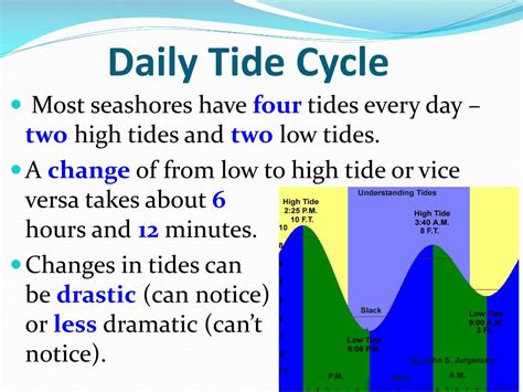 PPT - Tides: PowerPoint Presentation, free download - ID:5239100