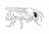 Honey bee To color And Print Or Download For Free sketch template