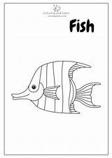 Sea Animals Coloring Pages 2023  And Learn sketch template