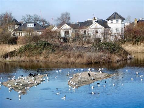 London Wetland Centre – ObsessedByNature