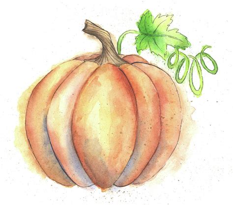 Watercolor Pumpkin at GetDrawings | Free download