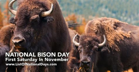 NATIONAL BISON DAY - List Of National Days