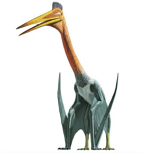 Quetzalcoatlus Toy | ubicaciondepersonas.cdmx.gob.mx