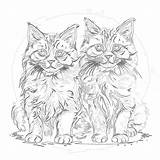Cats Coloring Pages  Mimi Panda sketch template