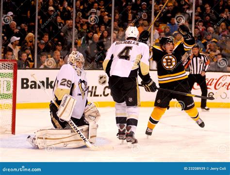 Boston Bruins score! editorial stock image. Image of boston - 23208939