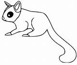 Sugar Gliders Coloring Page  Free Printable Pages For Kids sketch template