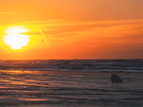 Galveston Island State Park reopens after major makeover with updated campsites, hiking trails ...