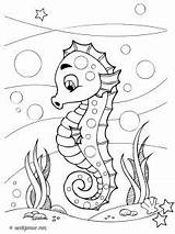 Coloriage Hippocampe A Imprimer Seahorse 3 Animals – Printable Coloring  sketch template