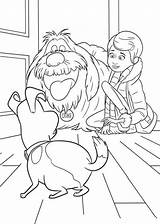 The Secret Life Of Pets Coloring Page  Home sketch template
